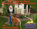 Gift Certificates - Click For Enlargement