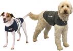 Thunder Shirt (our personal miracle!) - Click For Enlargement