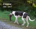 * Zinnia (6/7/97 - 7/19/11) - Click For Enlargement