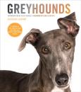 GREYHOUNDS - by Barbara Karant - Click For Enlargement
