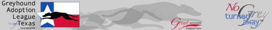 MH: Eleven - Click For Enlargement